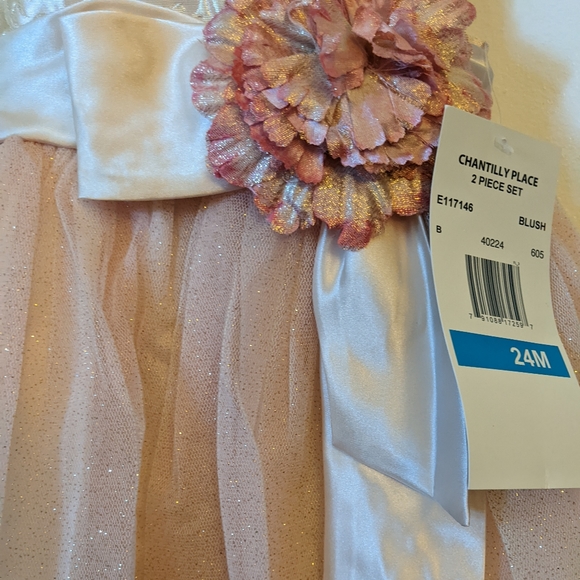 Chantilly Place Flower Girl Dress New With Tags - Picture 2 of 6